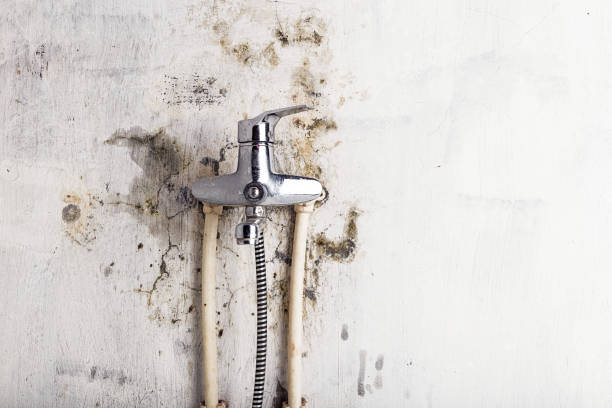 Water Damage Restoration in Richlandtown, PA