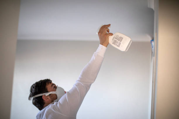 Best Mold Testing and Removal  in Richlandtown, PA