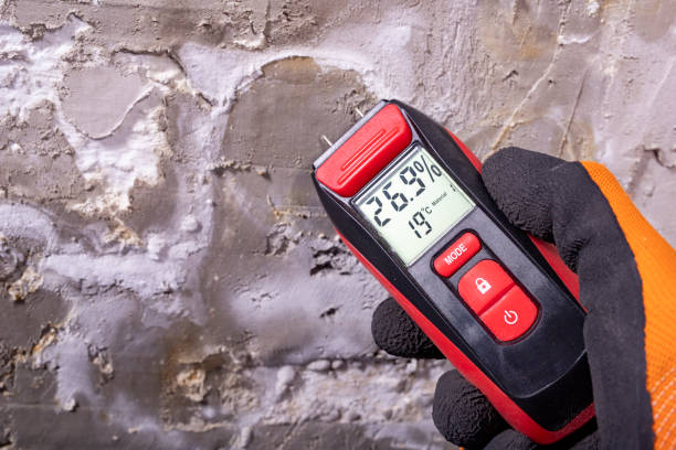 Best Office Mold Removal Services  in Richlandtown, PA