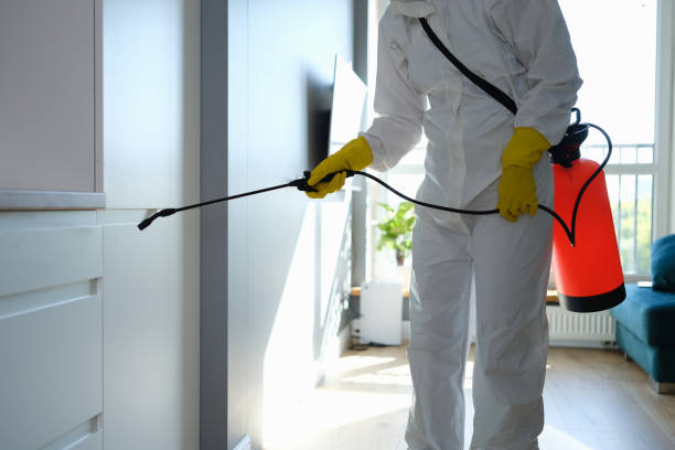 Crawl Space Mold Removal in Richlandtown, PA