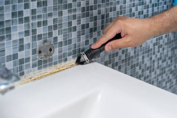 Best Home Mold Removal  in Richlandtown, PA